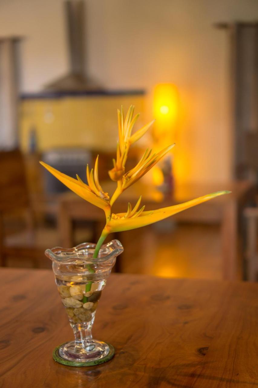 Villa Shenandoah Kandy Ngoại thất bức ảnh
